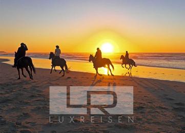 Horseback riding in Hurghada: Horseback riding on the beach or in the desert photo